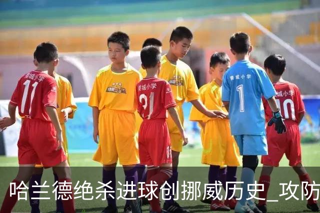 哈兰德绝杀进球创挪威历史 攻防全能将考验桑巴军团
