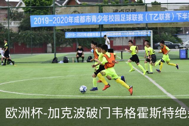 欧洲杯-加克波破门韦格霍斯特绝杀 荷兰2-1波兰