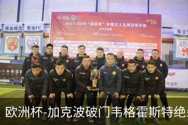 欧洲杯-加克波破门韦格霍斯特绝杀 荷兰2-1波兰