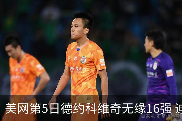 美网第5日德约科维奇无缘16强 迪米卢布列夫会师